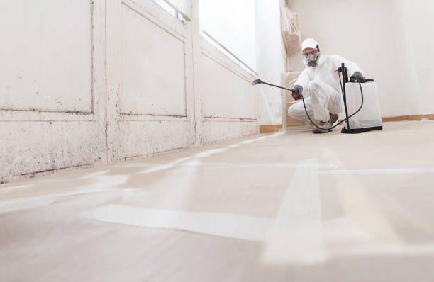 24/7 Emergency Black Mold Removal experts in Hillsborough, NJ