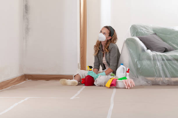 Reliable Black Mold Removal contractor in Hillsborough, NJ by WQB Mold Removal